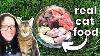 How To Make Homemade Cat Food Full Guide