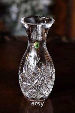 Waterford Crystal Hospitality Pineapple Open Carafe 9